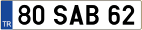 Trailer License Plate